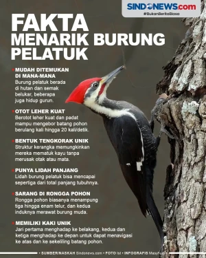 6 Fakta Menarik Tentang...