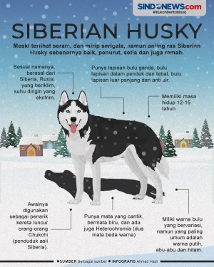 Mengenal Anjing Ras...