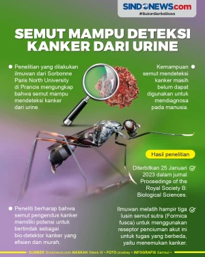 Wow! Semut Mampu Mendeteksi...