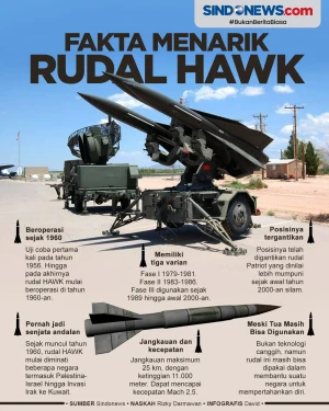Rudal HAWK, Senjata...