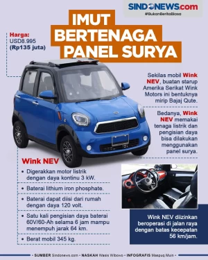 Wink NEV, Mobil Imut...
