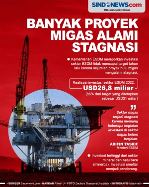 Banyak Proyek Migas...