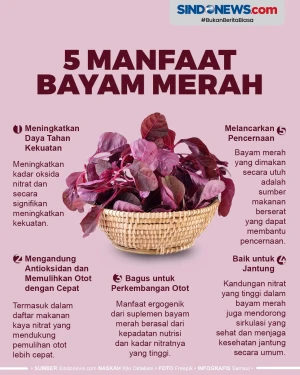 Yuk Simak! Berikut Ini...