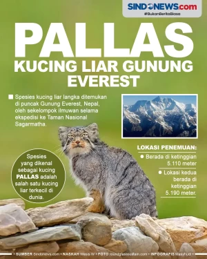 Ilmuwan Temukan Kucing...