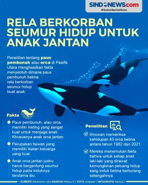 Paus Pembunuh ini Rela...