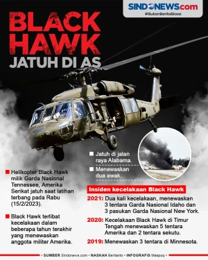 Black Hawk Jatuh, Dua...
