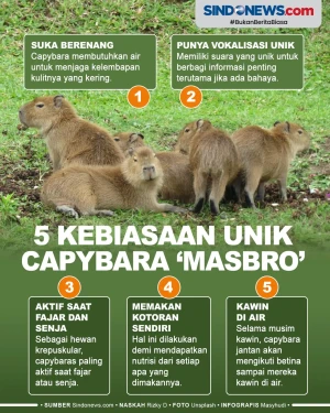 5 Kebiasaan Unik Capybara...