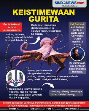 Keistimewaan Gurita,...