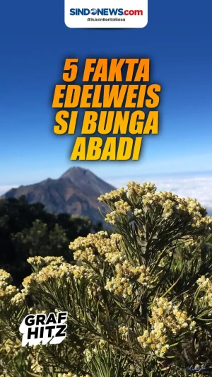Beda Versi di Luar Negeri,...