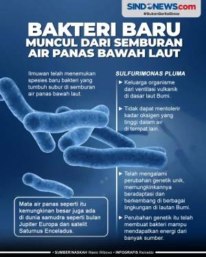 Bakteri Baru Muncul...