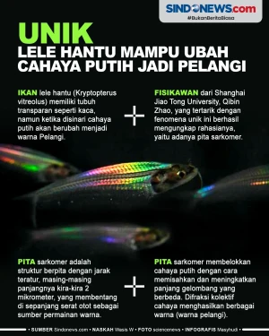 Unik, Ikan Lele Hantu...