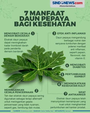 7 Manfaat Daun Pepaya...