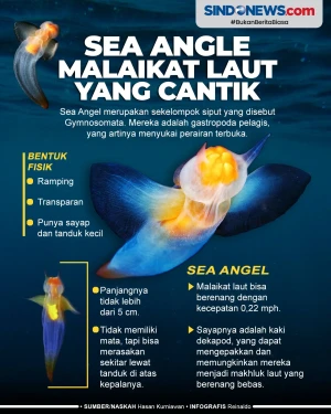 Sea Angle, Malaikat...