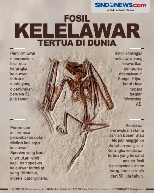 Fosil Kelelawar Tertua...