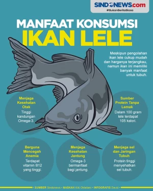 Luar Biasa, Ikan Lele...
