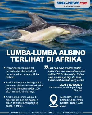 Langka, Lumba-lumba...