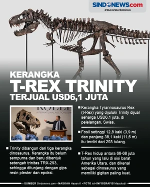 Di Lelang Swiss, Kerangka...