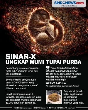 Sinar-X Ungkap Mumi...