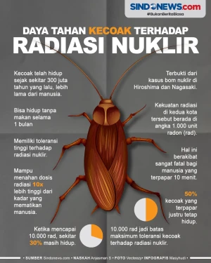 Daya Tahan Tubuh Kecoak...
