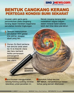 Bentuk Cangkang Kerang...