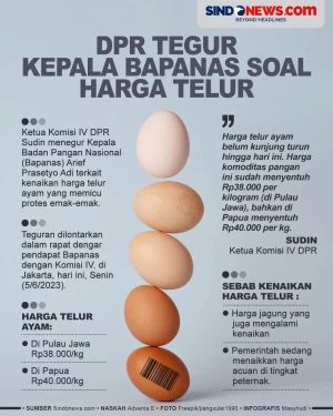 DPR Tegur Kepala Bapanas...