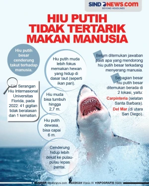 Ikan Hiu Putih Ternyata...