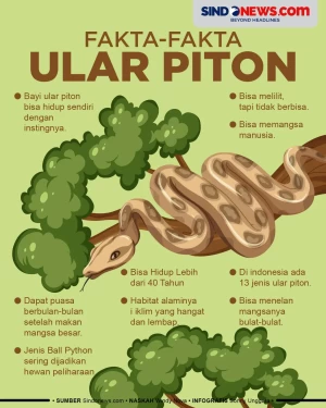9 Fakta Menarik Tentang...
