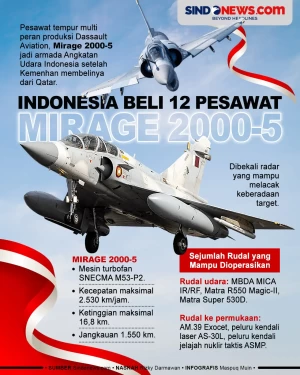 Mirage 2000-5, Pesawat...
