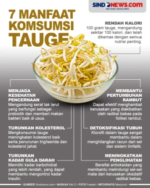 Manfaat Tauge untuk...