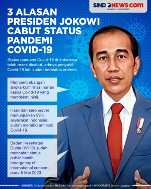 3 Alasan Presiden Jokowi...