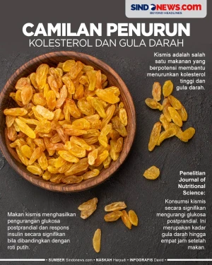 Camilan Sehat Penurun...
