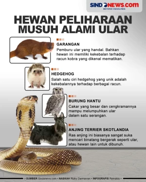 Empat Hewan Peliharaan...