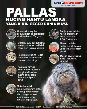 Pallas, Kucing Hantu...