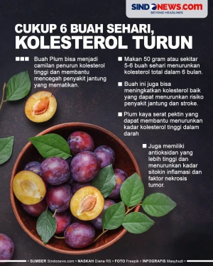 Camilan Penurun Kolesterol...