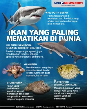 Lima Ikan yang Paling...