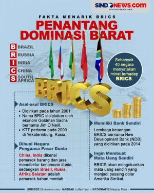 BRICS, Kelompok Ekonomi...