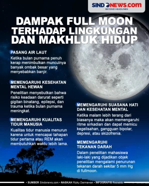 5 Dampak Full Moon terhadap...