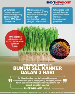 Makanan Ini Terbukti...