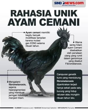 Rahasia Unik Bulu, Tulang...