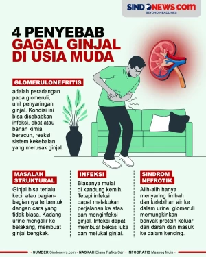 4 Penyebab Gagal Ginjal...