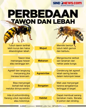 Terlihat Serupa, Berikut...