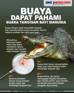 Ternyata Buaya Dapat...