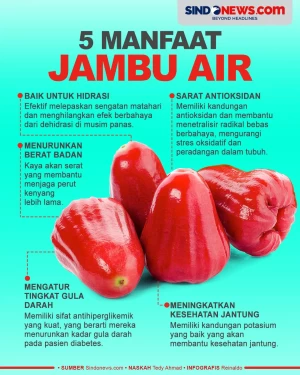 Manfaat Jambu Air, Mampu...