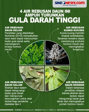 4 Air Rebusan Daun Ini...