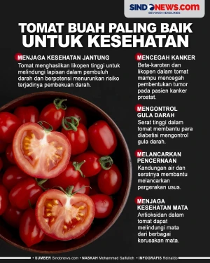 Ternyata Tomat Buah...