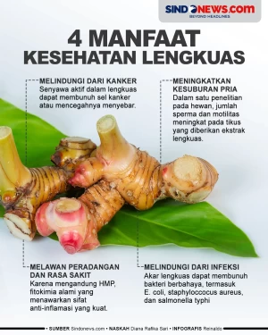 4 Manfaat Kesehatan...