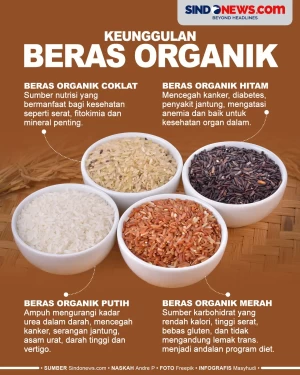 Beras Organik, Beda...