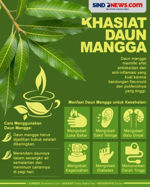 Manfaat Daun Mangga...