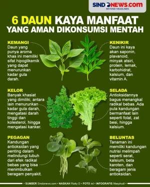6 Daun Kaya Akan Manfaat...