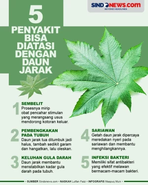 5 Penyakit Bisa Disembuhkan...